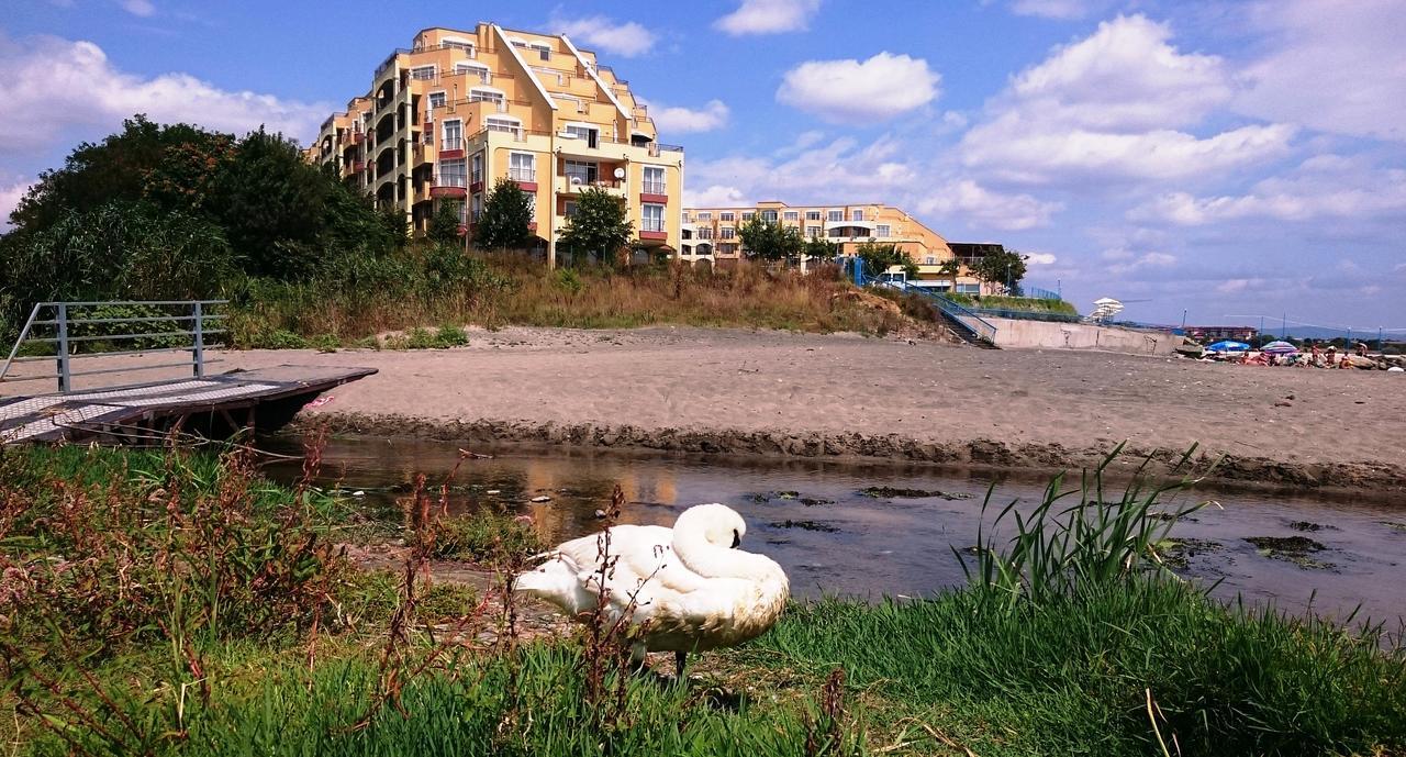Akb Apartment Sea View Aheloy Dış mekan fotoğraf